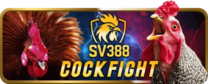 Sân vận động bóng đá với giao diện cá cược thể thao 789bets casino